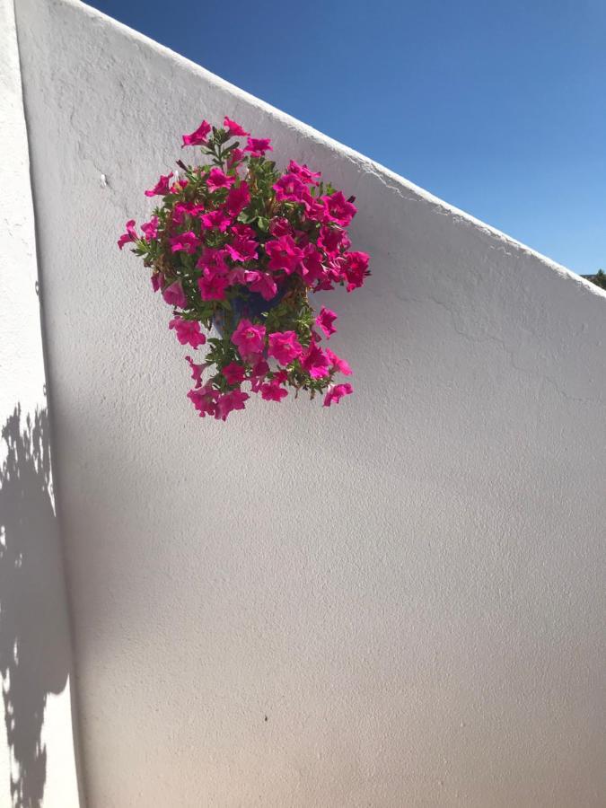 Bonita Casa Adosada Empuriabrava Ngoại thất bức ảnh